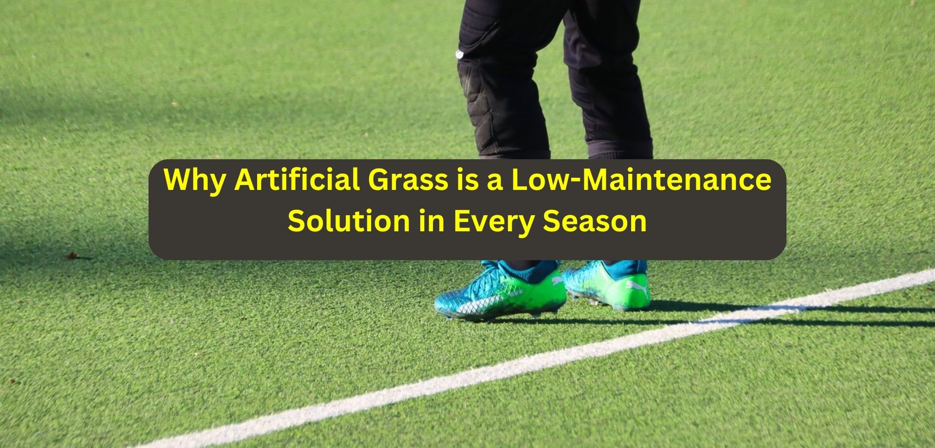 artificial grass in dubai