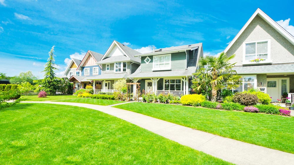  Landscaping Grass              