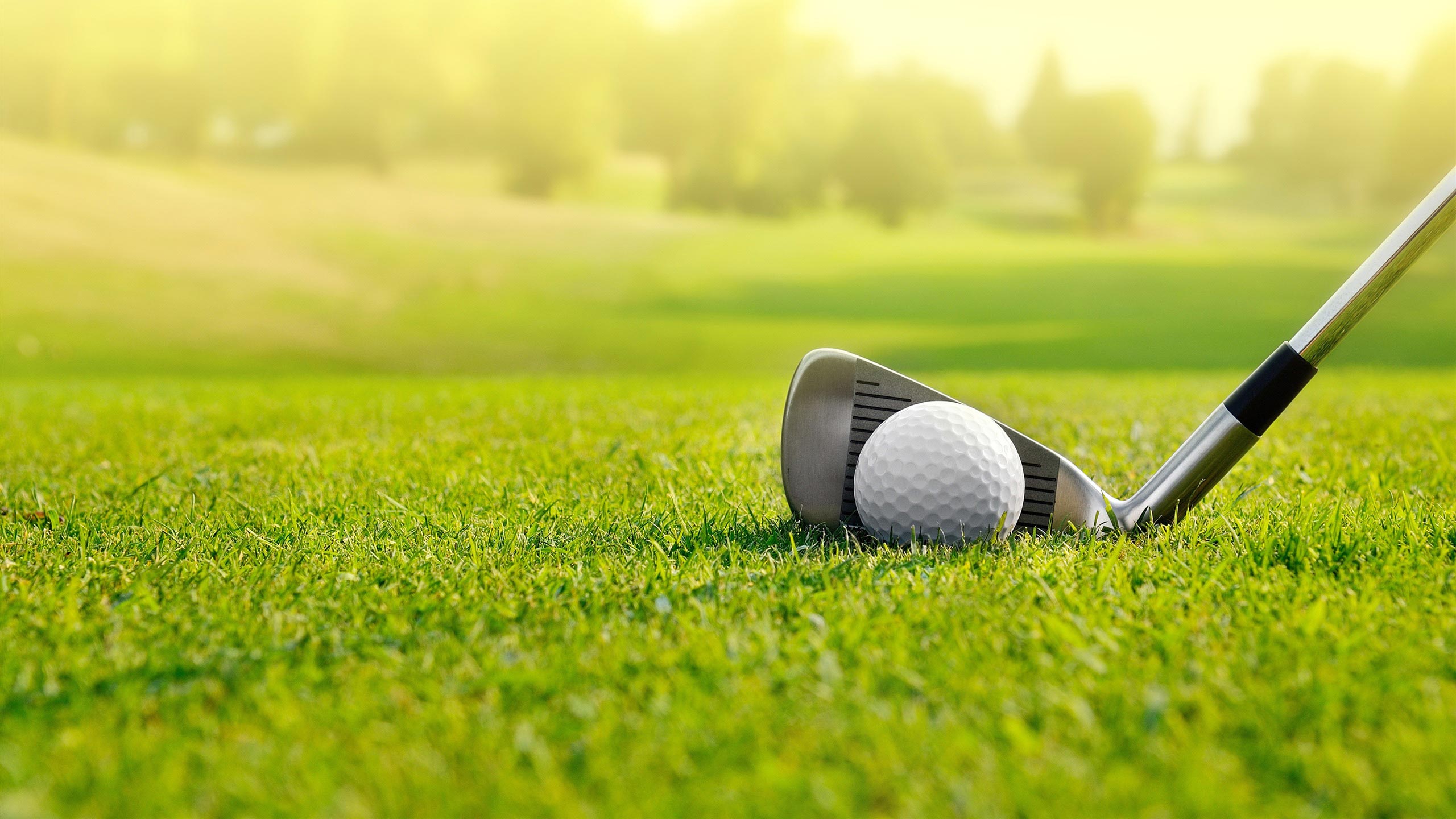 Golf Grass